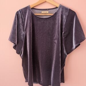 EUC Velvet Blue Top From Madewell Seize Medium